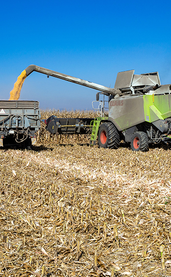 Grain machinery using falk products