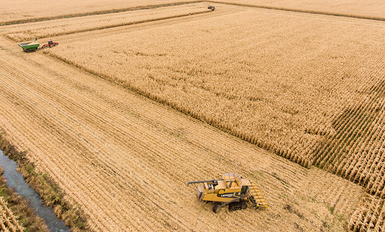 Tractors-in-grain-field