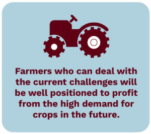 Farmers who can manage current challenges in the agriculture industry will be well positioned to profit from the high demand for crops in the future.
